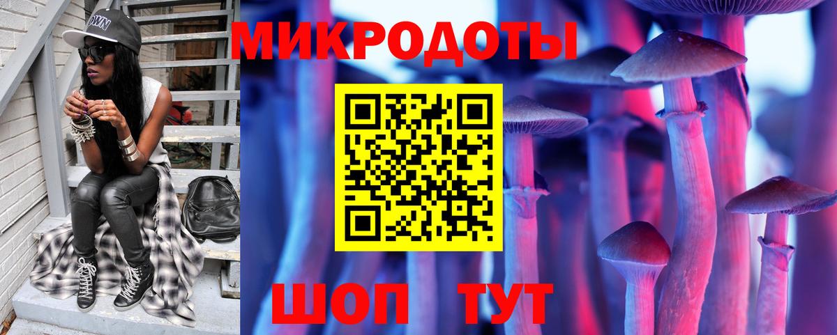 Псилоцибиновые грибы прущие грибы Тихорецк