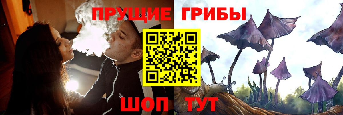 Галлюциногенные грибы MAGIC MUSHROOMS  Вход с VPN  Тихорецк 